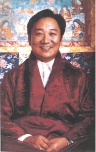 Foto - Tarthang Tulku